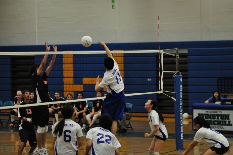 Coed volleyball takes new roster into season