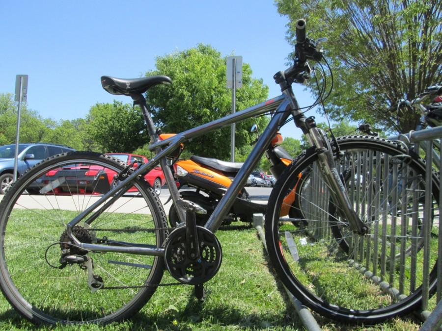 Local trails offer ample summer biking opportunities 