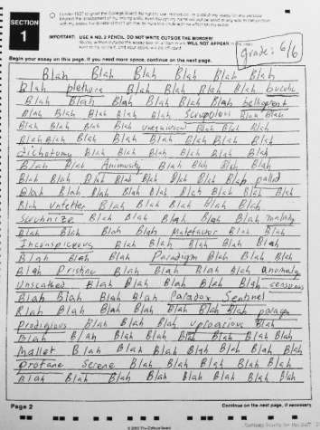 College Board takes unfair approach to grading essay