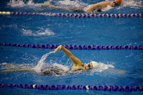 Swim and Dive