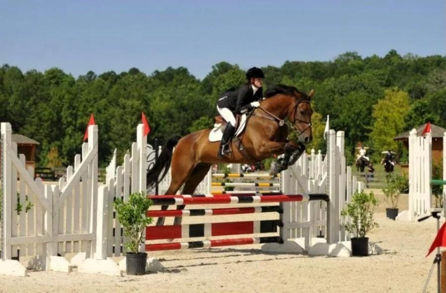 Senior and her horse succeed by leaps and bounds