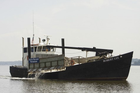 Local restaurant aids chesapeake oyster recovery efforts