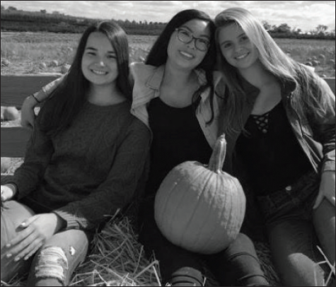 Homestead Farm Provides Plentiful Pumpkins