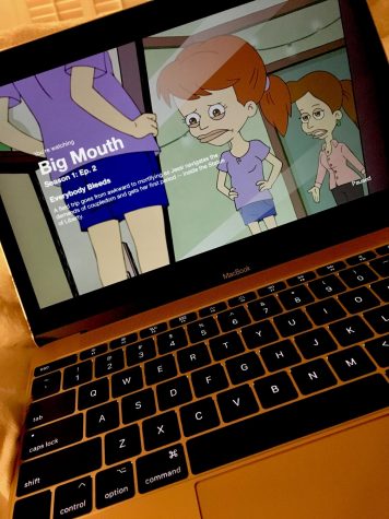“Big Mouth” puts big emphasis on real life situations