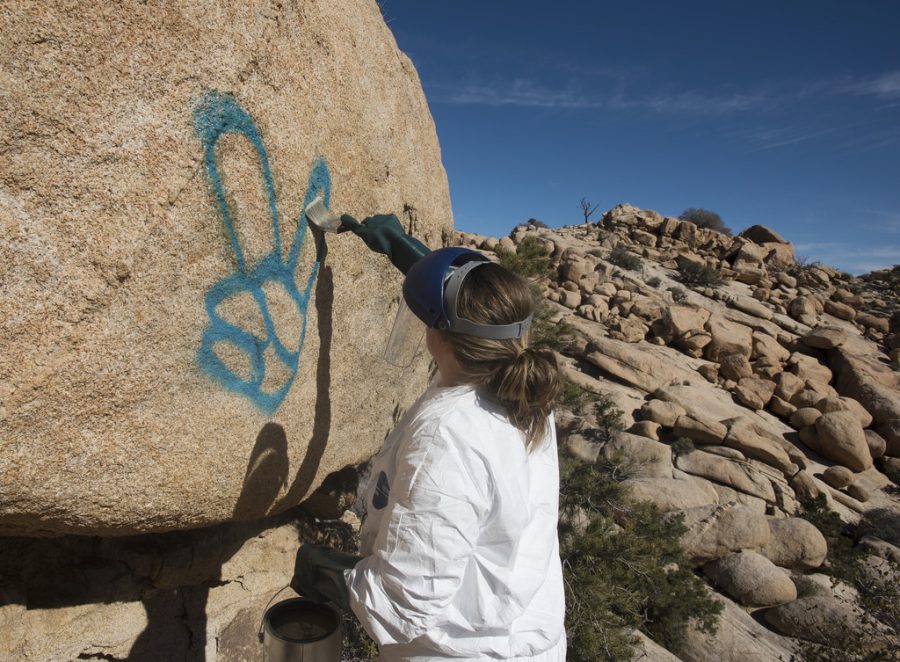 A+park+ranger+is+applying+elephant+snot+graffiti+remover+to+a+rock+that+has+been+vandalized+with+spray+paint+amid+the+government+shutdown.+Removing+graffiti+is+tedious+work+that+requires+training%2C+approved+cleaning+materials%2C+and+heavy+equipment.++