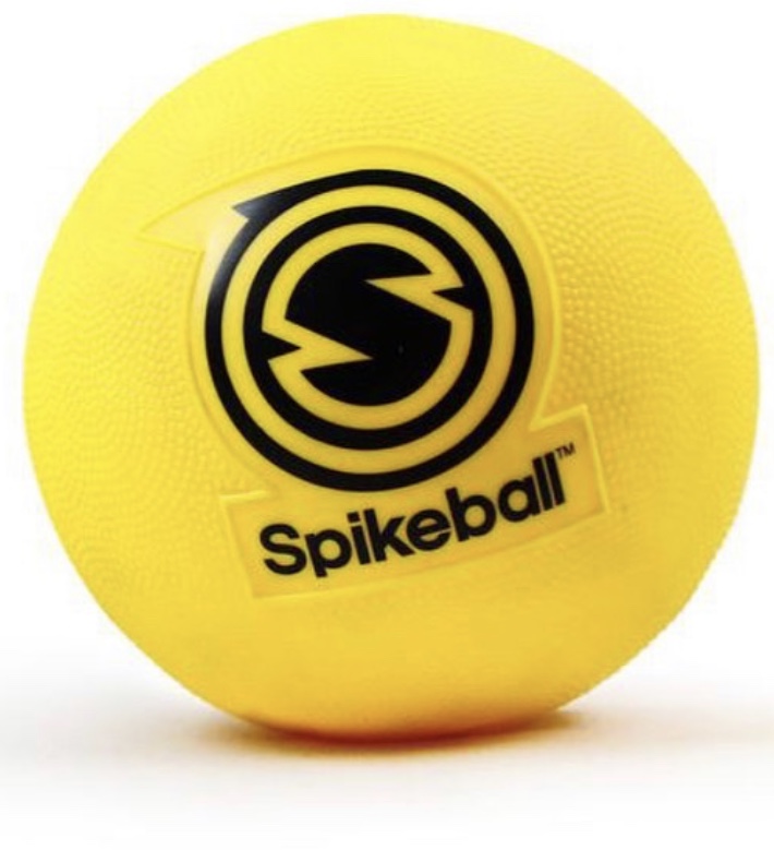 The+official+Spikeball+used+to+play+the+game.