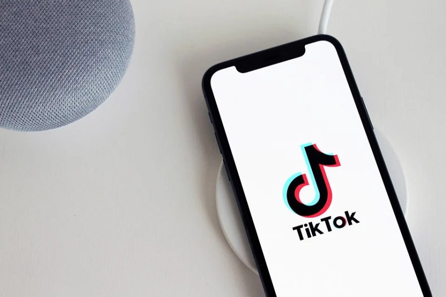 One popular way to stay entertained during Quarantine is through TikTok. Each video is different, ranging from humor to horror and it is easy to stay on the app for a while. 
