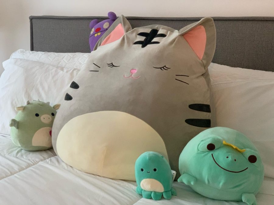 Padilla keeps all of her Squishmallows organized on her bed, with the large cat in the middle. Padilla loves to sleep on the cat, using it as an extra pillow to make her bed even more comfortable. 