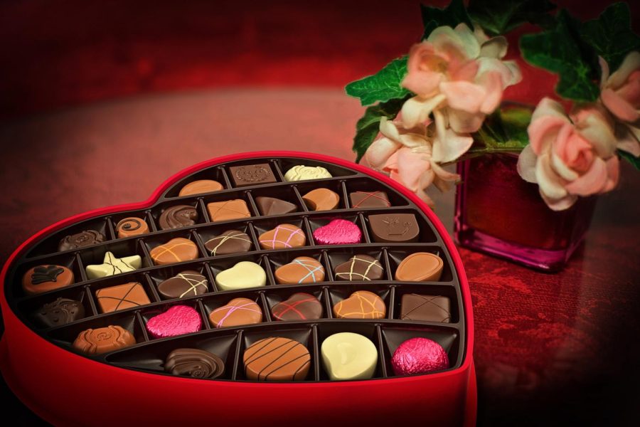 Gifts such as chocolates and flowers are very stereotypical and do not make the holiday and fun while cockroaches spice things up. 