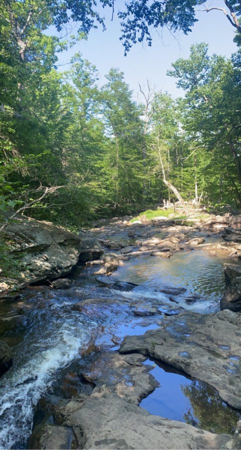 The waterfall is located in Catoctin Mountain Park. It is about an hour drive away from WCHS but well worth the trip! The cool, refreshing water is a perfect place to escape the summer heat.