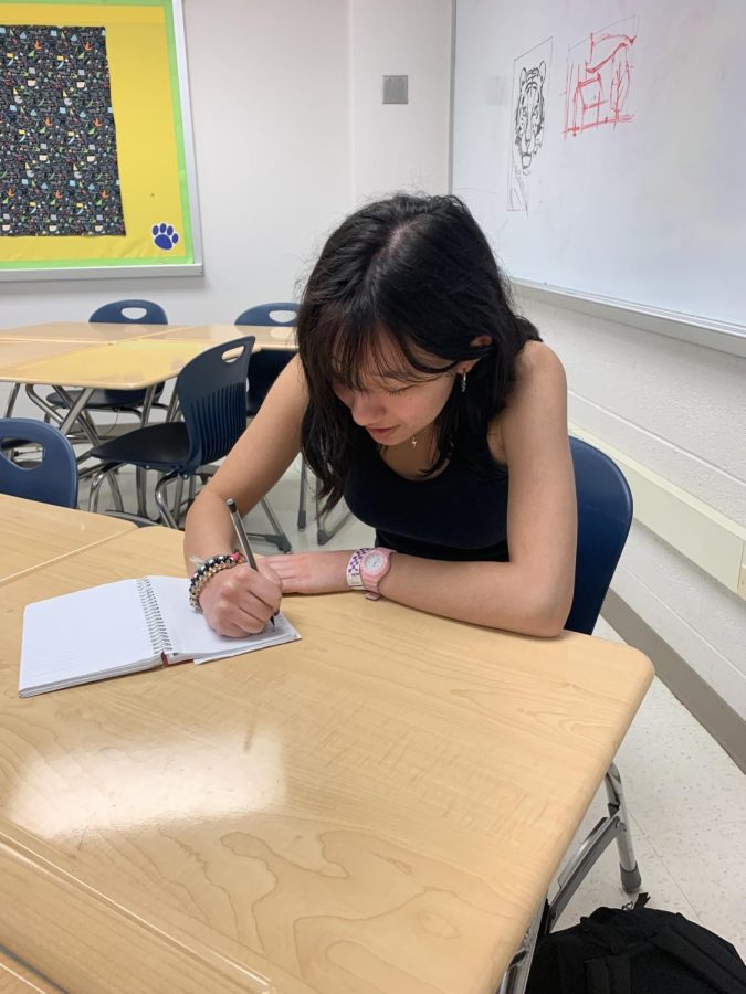 To de-stress and collect her thoughts WCHS senior Sophia Danpino writes in her journal. Journaling as a coping mechanism is a positive outlet for her feelings. 