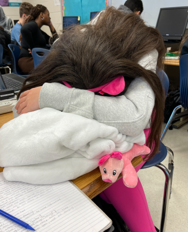 WCHS Sophomore Jenna Piggot, tired during class, needing an extra free period to catch up on work.