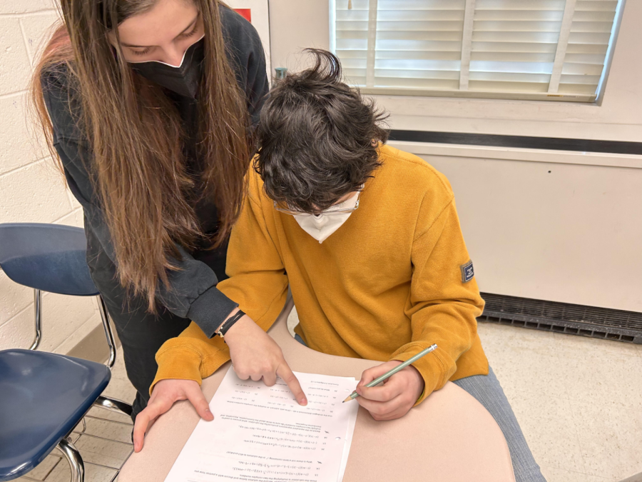 WCHS freshman Robin Frischtak assists fellow student Rowen Krebbs in their Resource class. In Resource, teachers are available to also help, but students work with each other. 