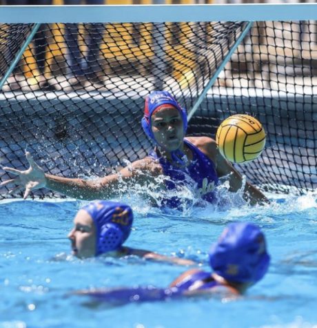 While water polo isnt a sport thats offered at WCHS, its a very popular team sport that many students would try if offered to them.
