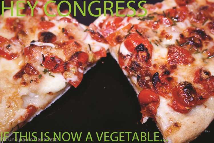 Student bemoans Congressional food faux pas