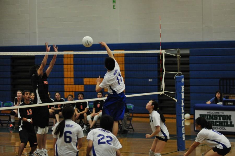 Senior Kenny Hwang spikes the ball during a scrimmage. The team is welcoming players who played boys volleyball last year.