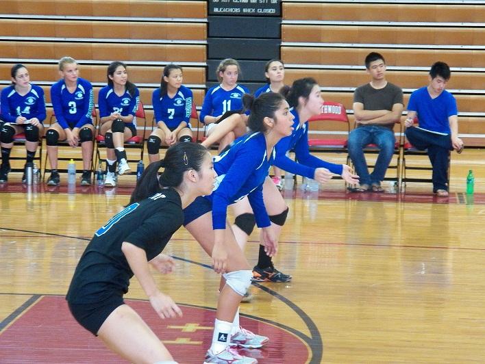 Undefeated volleyball faces rivals in coming weeks