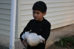 Chickens remind local family of a distant past