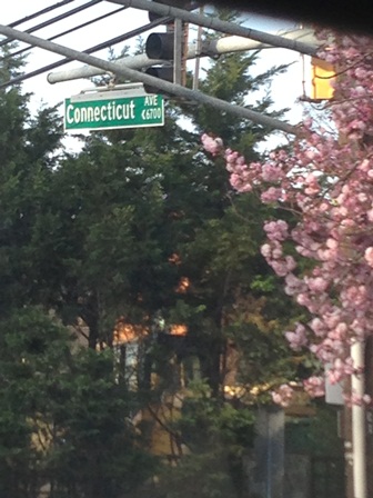 Conneticut Ave. was one of the streets affected by water main breaks.