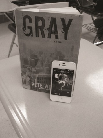 ‘Gray’ offers glimpse into Pete Wentz’s life