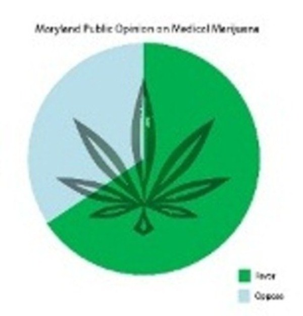 Public opinion sways legislation, marijuana bills pass