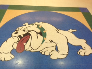 Angry+bulldogs+found+around+CHS