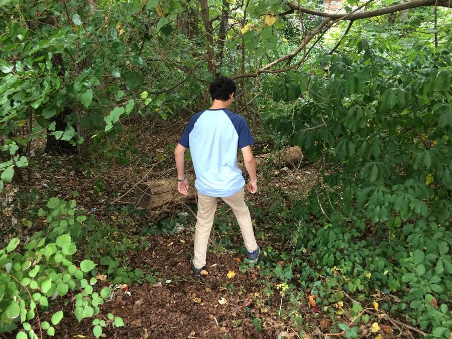 Sophomore Jacob Li takes a stroll at Great Falls