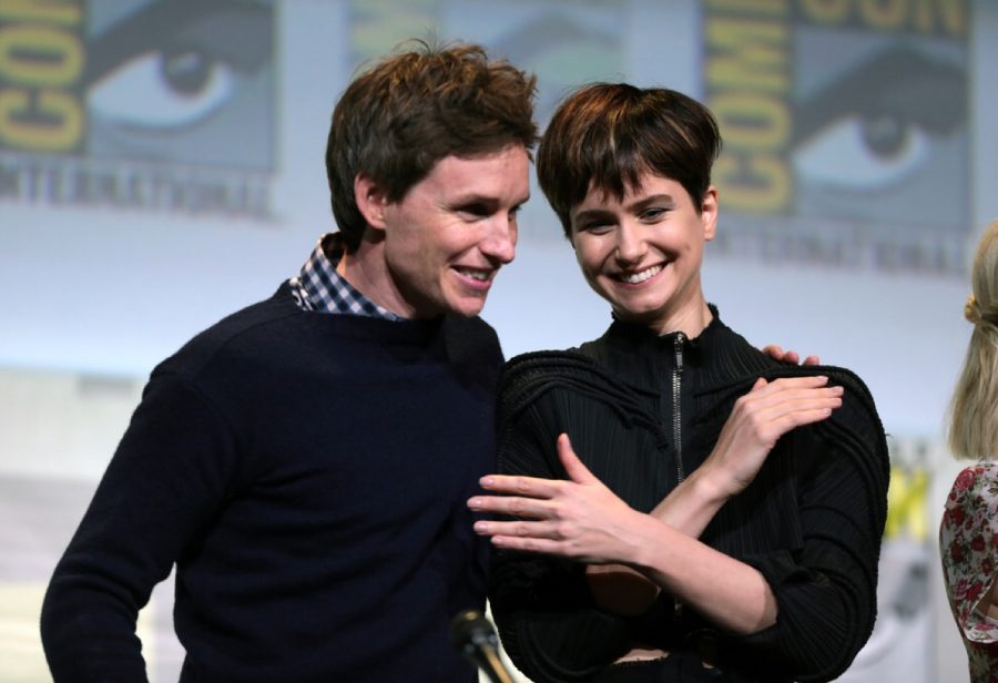 Eddie+Redmayne+%28Newt+Scamander%29+and+Katherine+Waterston+%28Tina+Goldstein%29+at+a+Comic-Con+press+conference.+