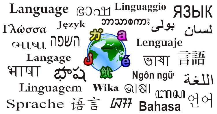 Many students at CHS stop taking foreign language before the end of high school, however they are missing out on valuable knowledge and life skills.