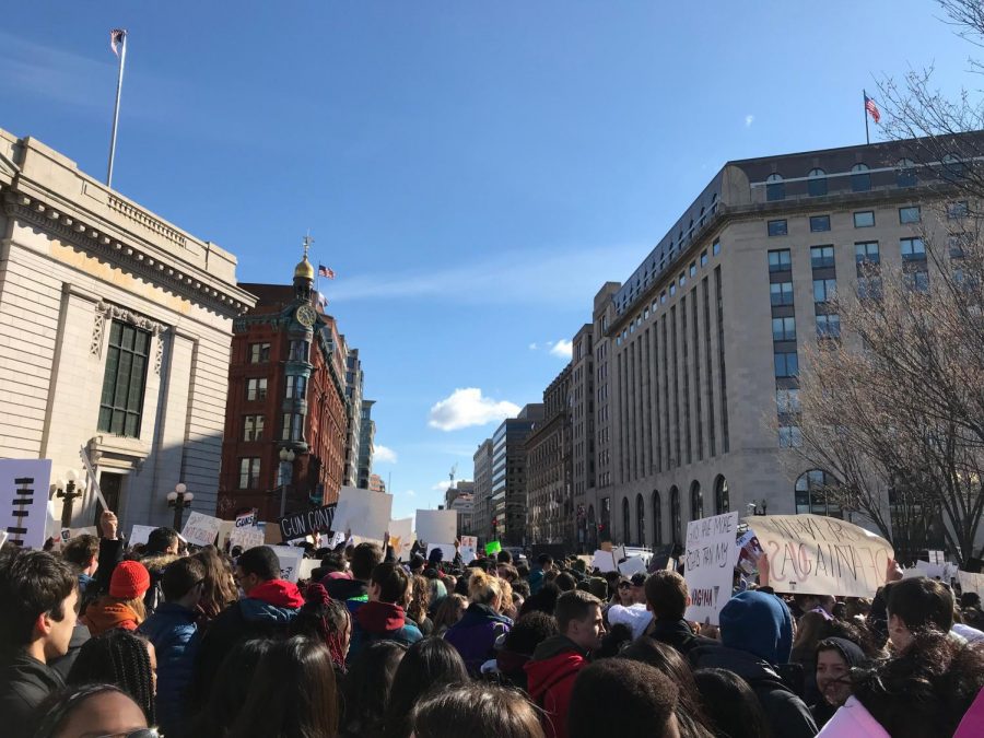Large+amounts+of+students+line+the+streets+in+protest+for+gun+control.