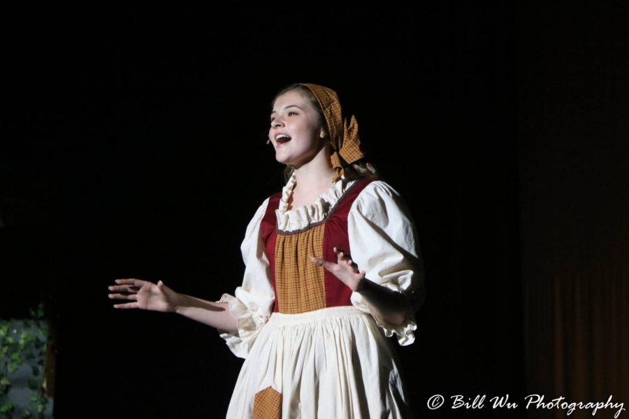 Heather Kirschner plays Cinderella in the winter musical production of Cinderella. The cast put on five performances of the show.