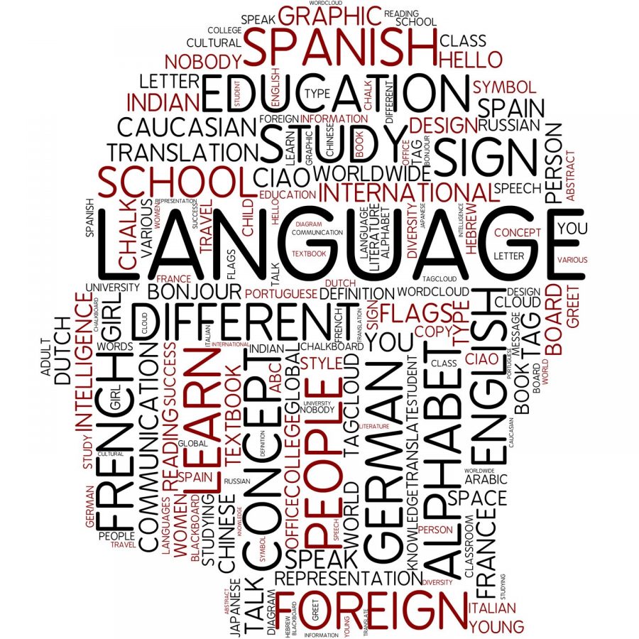 Being proficient in different languages allows people to have a multicultural perspective on issues and to be able to communicate with others living around the world. 