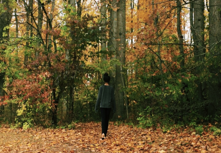 WCHS student takes a walk in forest during the fall. The leaves turn orange at the trees which is a sign that winter break is rapidly approaching.