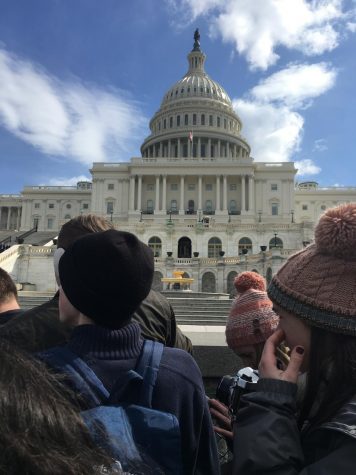 WCHS attenda march outside the DC Capitol. Protests are a common form of political participation