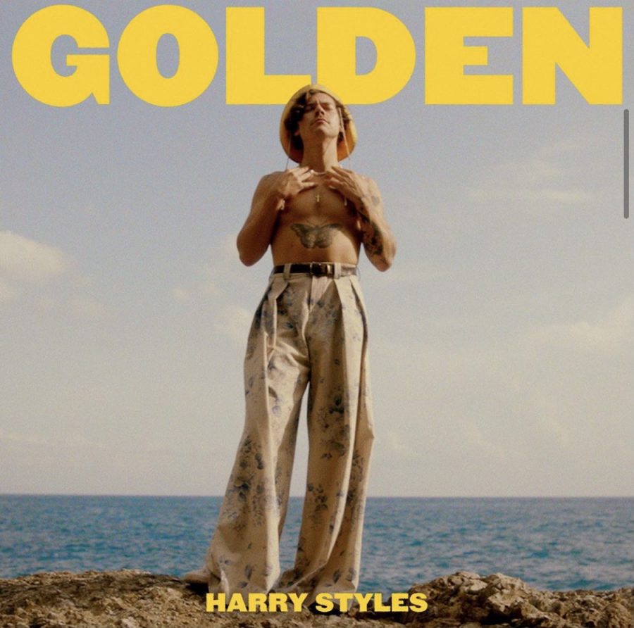 Singer Harry Styles soaks up the sun, wearing nothing but a pair of trousers and a vintage yellow hat, on the Amalfi Coast of Italy. He poses with his eyes closed, standing tall on a rock along the shoreline, during the shooting of the music video for his single Golden. 