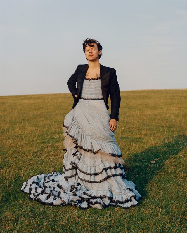 Harry Styles decided to debut his beautiful ballgown for his photoshoot with Vogue as he finds himself to be captivated by the intricacy and detail of womens clothing. 