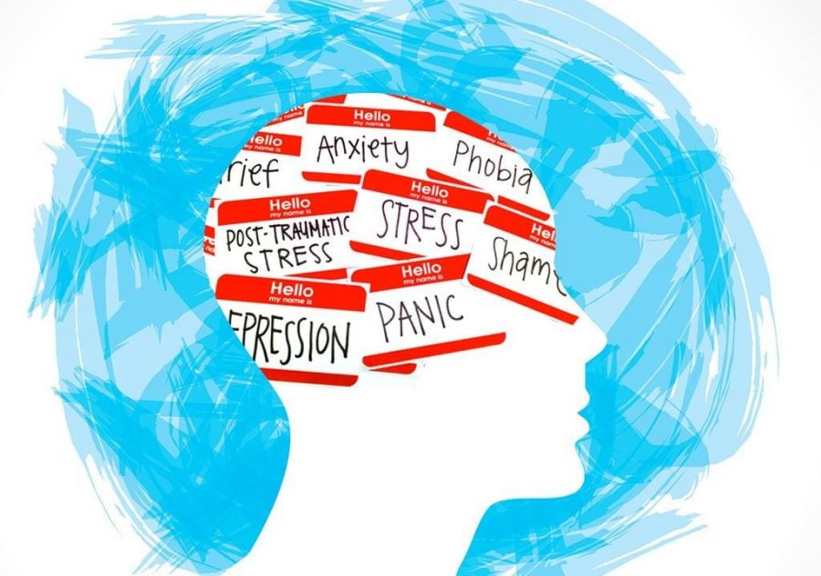 While depression and anxiety are often the most common and talked about teen mental illnesses, many teenagers struggle with a multitude of other illnesses. It is important for parents, teachers, and teens themselves to not overlook mental health, and to take the necessary steps to prevent and combat mental illnesses, such as limiting social media.