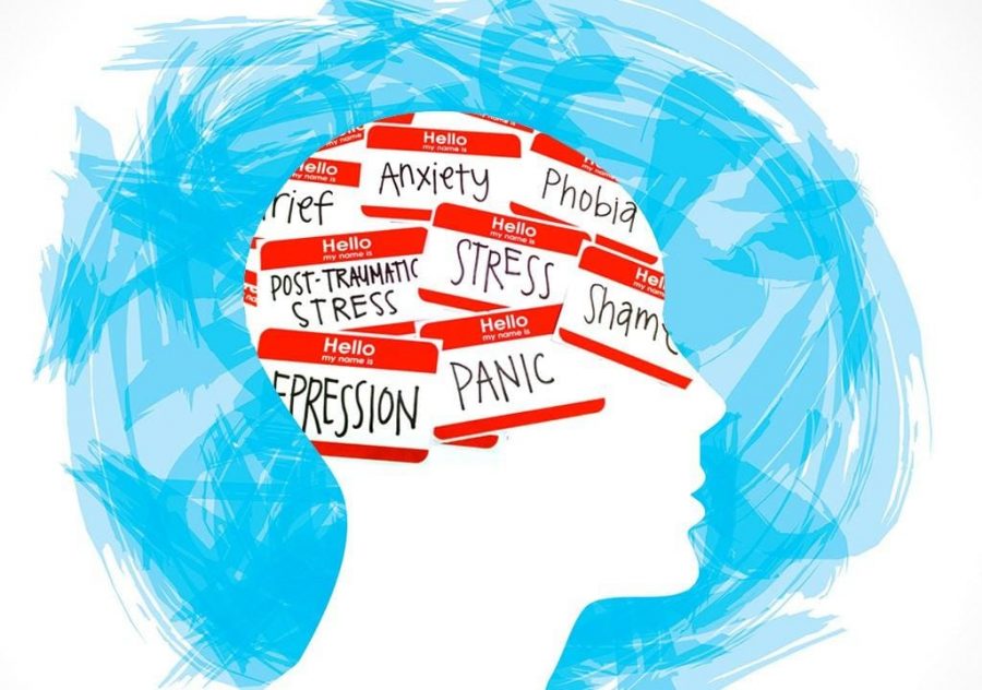 While+depression+and+anxiety+are+often+the+most+common+and+talked+about+teen+mental+illnesses%2C+many+teenagers+struggle+with+a+multitude+of+other+illnesses.+It+is+important+for+parents%2C+teachers%2C+and+teens+themselves+to+not+overlook+mental+health%2C+and+to+take+the+necessary+steps+to+prevent+and+combat+mental+illnesses%2C+such+as+limiting+social+media.