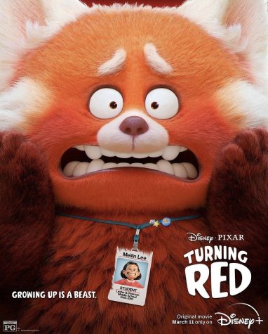 The movie poster for Pixars latest movie Turning Red released on Disney + on March 11. 