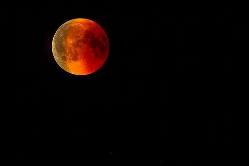 A photograph taken of the Super Flower Blood Moon from a telescope during the May 15-16 eclipse.