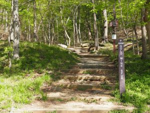 The Goldmine Trail is location in Potomac, MD off of Macarthur Blvd. The trail offers many different options for all types of hikers, with spurs leading to the famous Great Falls.