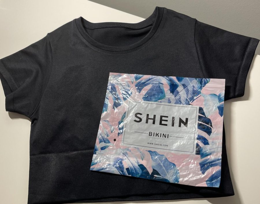 A Shein bag with a clothing piece from the online store was bought and shipped to a WCHS student. Employees at Shein work 18 hour shifts everyday in order to make some of their most popular products that are shipped to customers across the world.