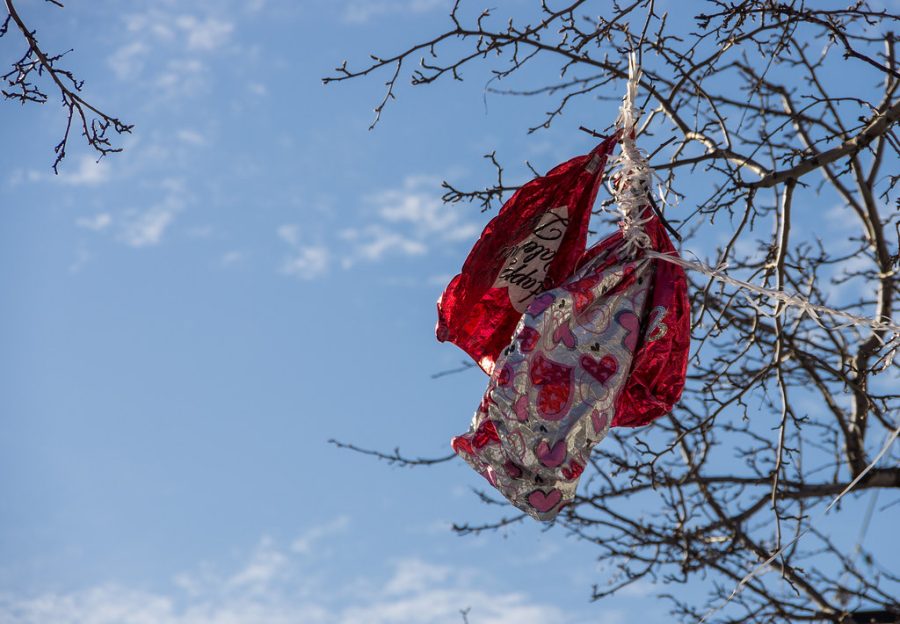 With Valentines Day comes ingenuine gifts, disappointments, and loneliness. The unrealistic balloon of love it claims to be is quickly popped with the realization of its materialistic qualities and stress-induction. 