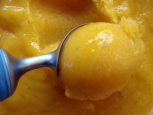 Photo courtesy of Creative Commons