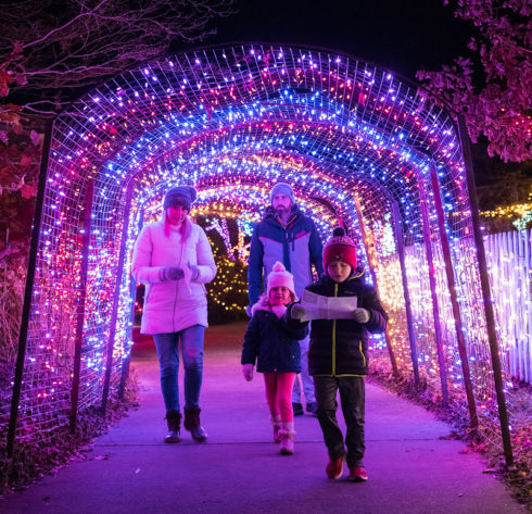 Starting on November 17,2023, Brookside Gardens annual Garden of Lights will be available for public showing where individuals can enjoy an evening stroll surrounded by illuminating lights of all sorts. This is one example out of many activities and events that will be held during the month of November to help people get into the holiday spirit.  