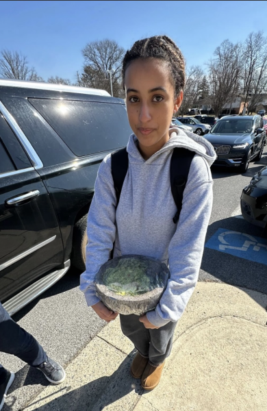WCHS junior Gabby Mariam poses with the guacamole she prepared for the WCHS Spanish Honors Society potluck held on Febuary 21. The event was a time for the group of students to get together and celebrate Spanish culture and the Spanish language.