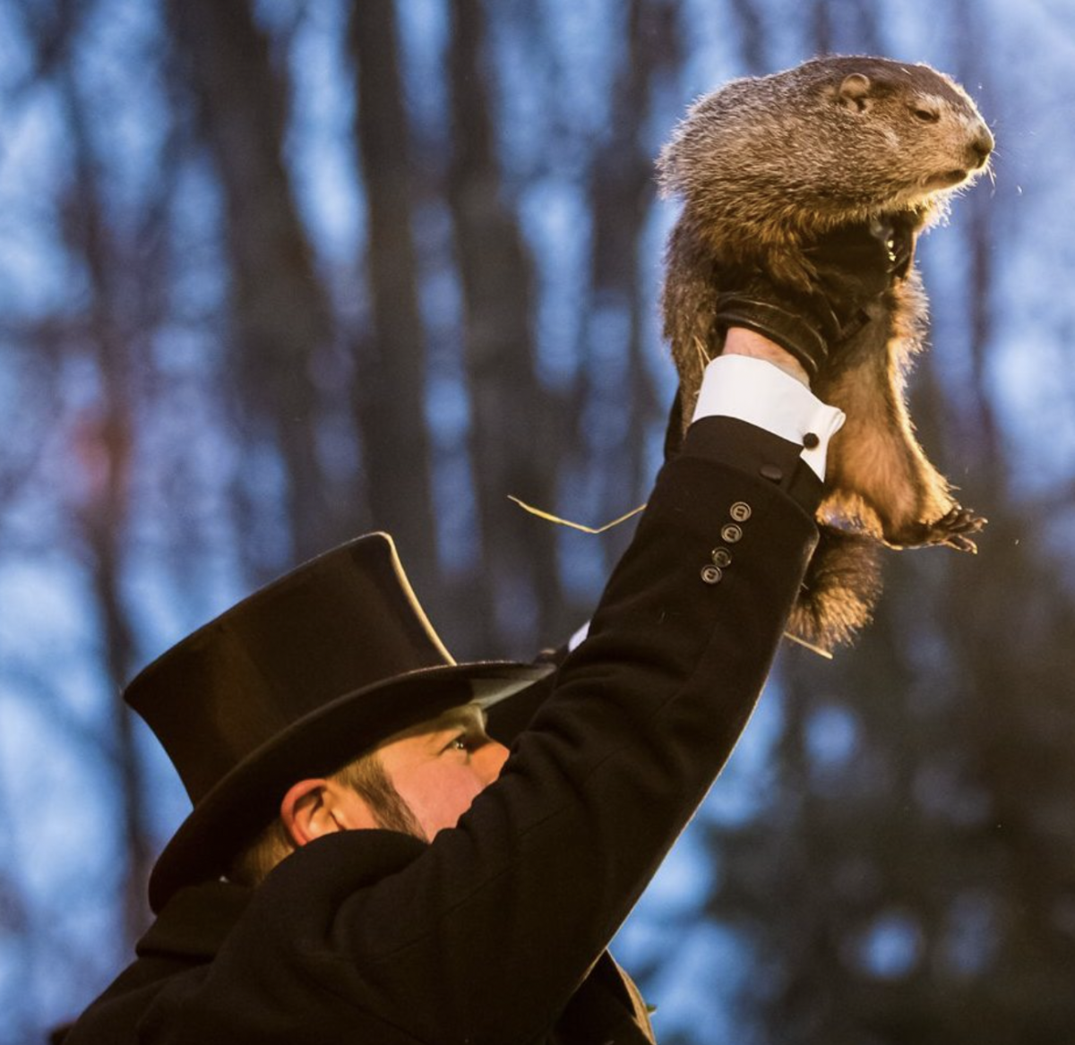 A member of the Punxsutawney Groundhog Clubs inner circle hoisting Punxsutawney Phil up for the crowd, 2018.