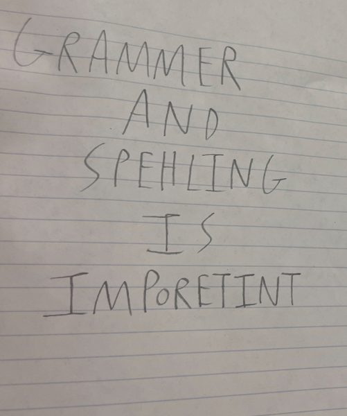 This is a sine abt grammer in the skool and it needz too bee gud and stuf. 