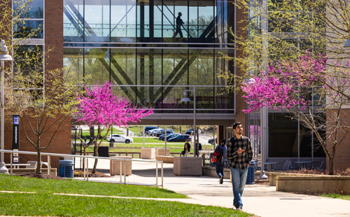 College has become increasingly competitive in recent years, so much so that the lengths many families will go for what they consider to be a "good college" has become extreme.