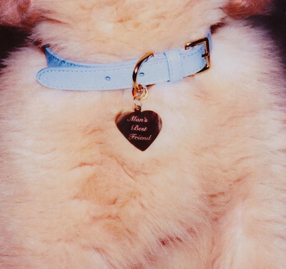 Sabrina Carpenter released her seventh studio album, "Mans Best Friend" on August 29.